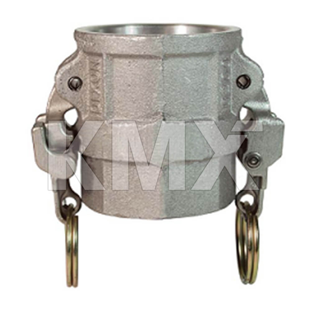  RD300EZ Camlock Hembra HI NPT, Tipo D 3" SS316 DIXON
